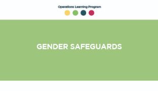 Gender Safeguards