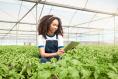 Imagen del curso Sustainable Digital Impact: Agritech Startup Ecosystems