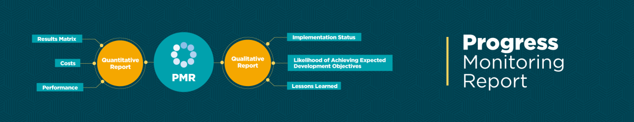 Progress Monitoring Report (PMR) | Operation Learning Program | AcademiaBID