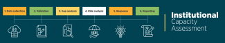 Institutional Capacity Assessment