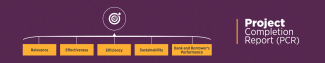 Project Completion Report (PCR)