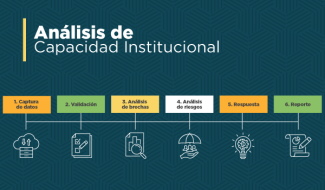 Análisis de Capacidad Institucional