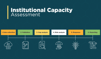 Institutional Capacity Assessment