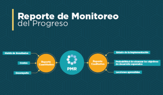 Reporte de Monitoreo de Progreso (PMR)